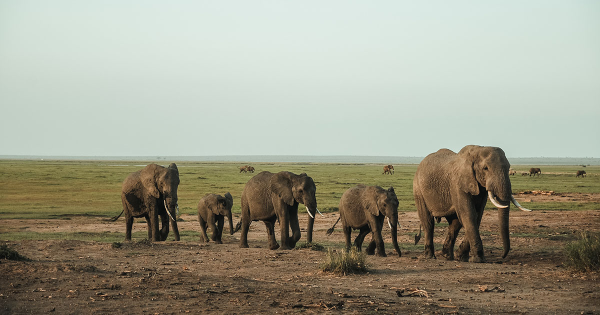 Lamu Island: A Journey into East Africa