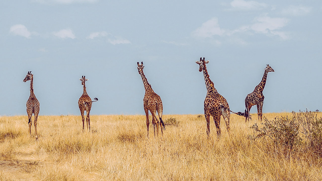 Destinations in Rwanda: Explore the Wonders