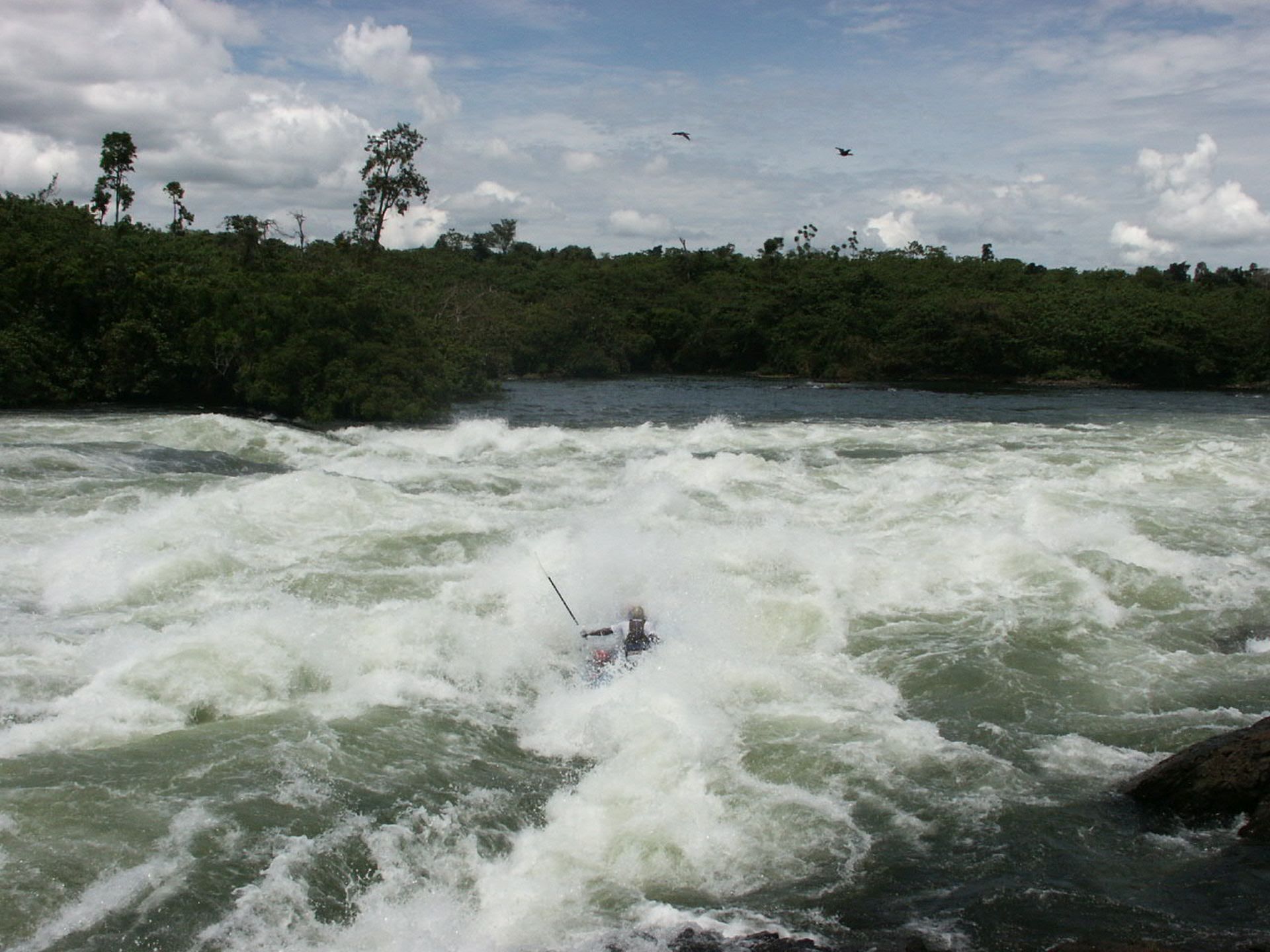 Top Safari Destinations: Bwindi, Masai Mara, Serengeti, Victoria Falls, Okavango Delta, Kruger, Ngorongoro Crater, Seychelles.