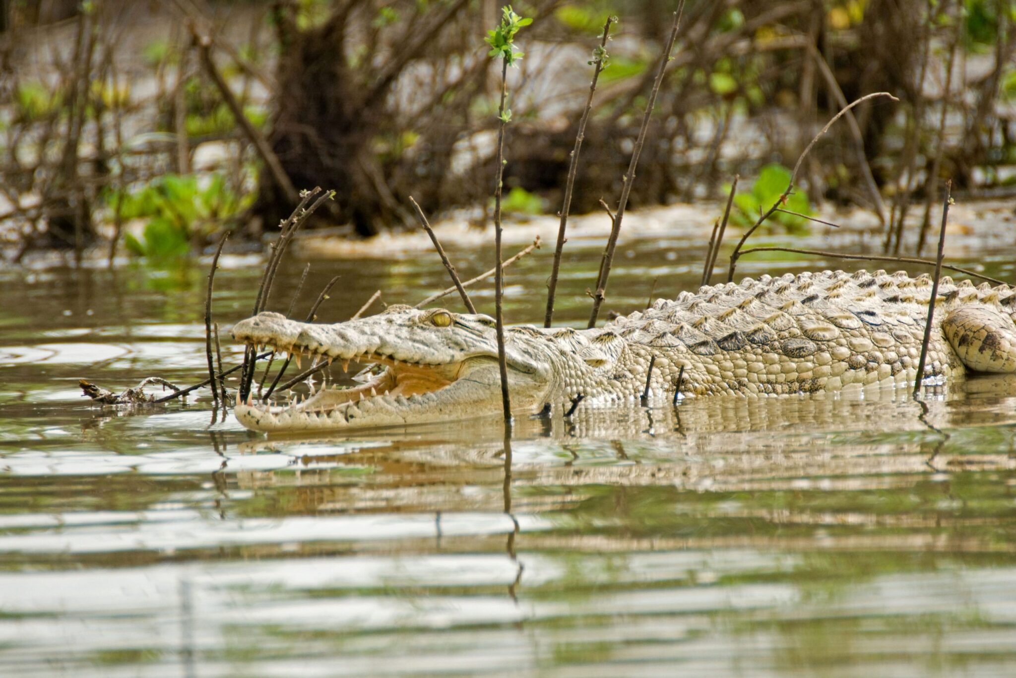 Best Honeymoon Destination for 2025