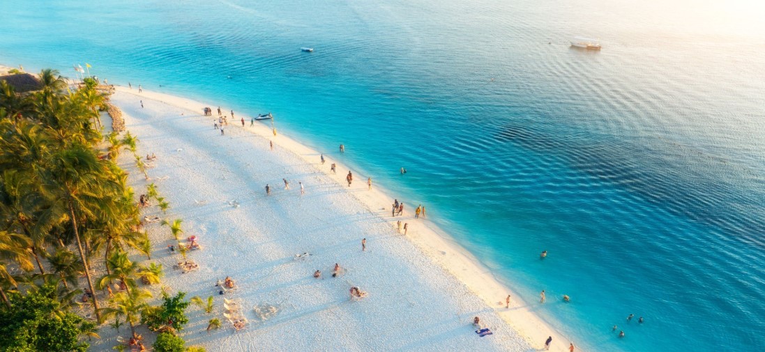 What is the Best time to Visit Tanzania Safari and Zanzibar