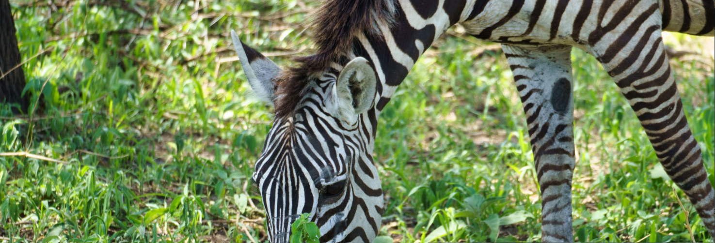 What is the time zone in Rwanda and Tanzania?