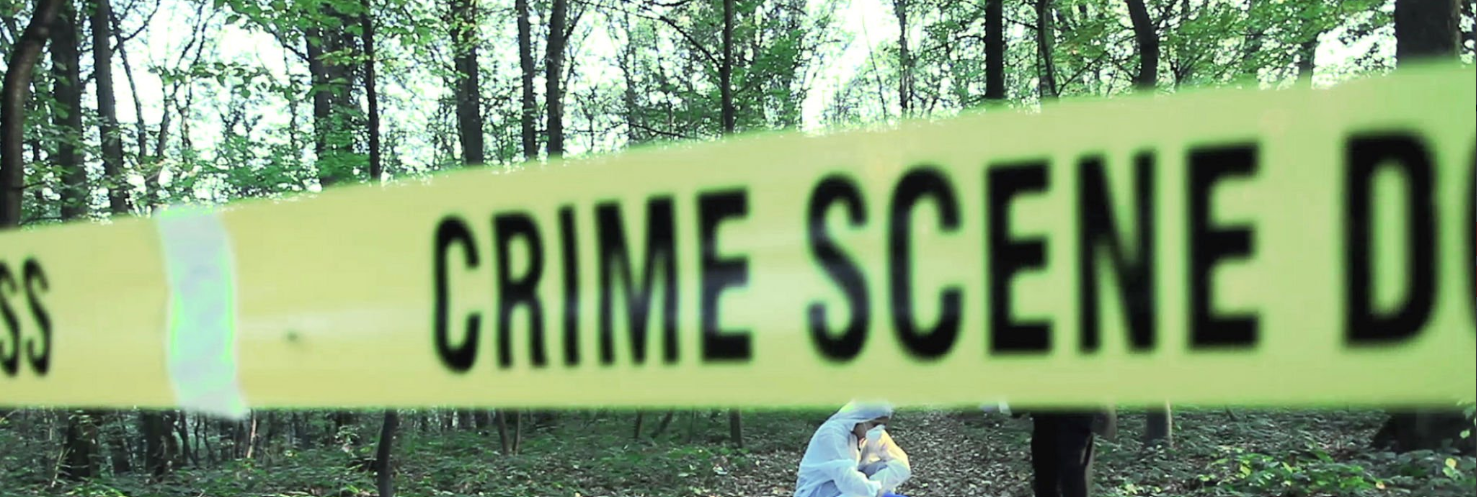 How to report wildlife crimes in Africa?