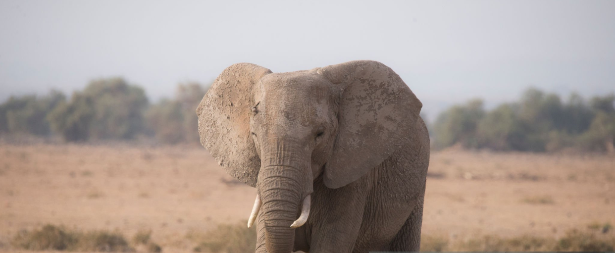 Which is better Rwanda or Tanzania?