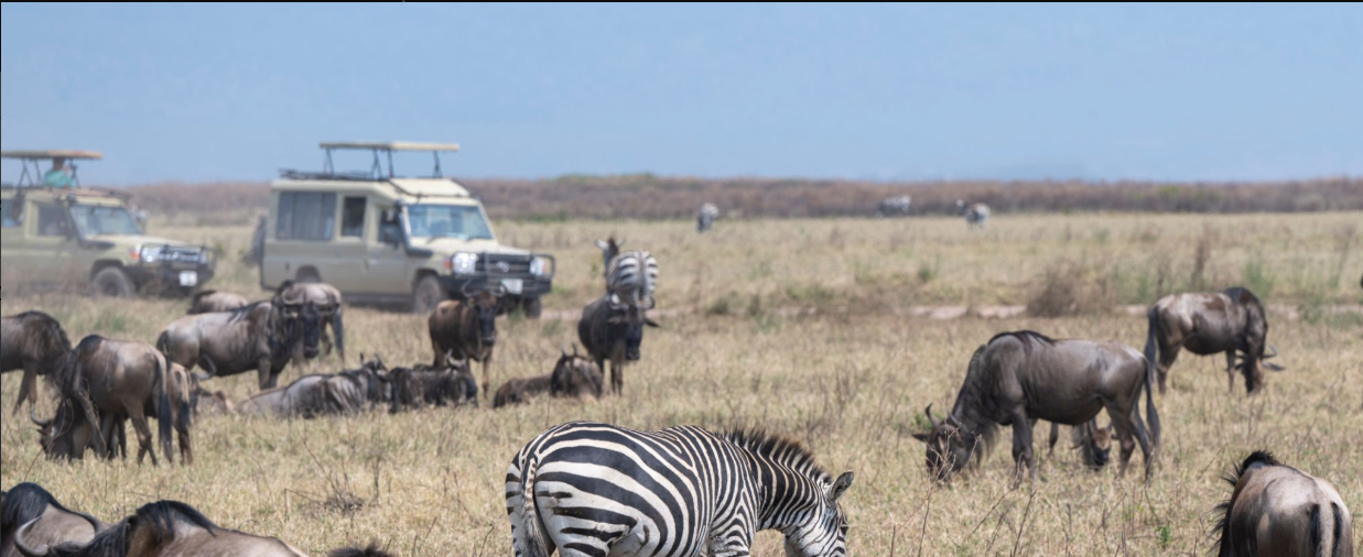 How to get around Tanzania?